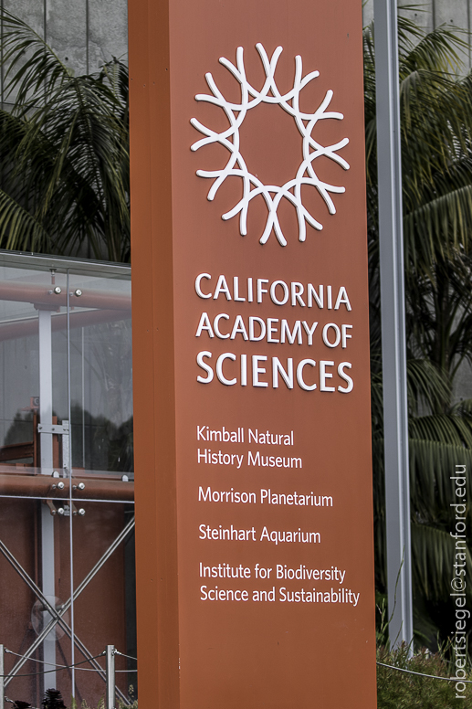 California Academy of Science 2019